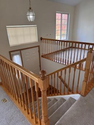 Photo - 61 Cantal Ct