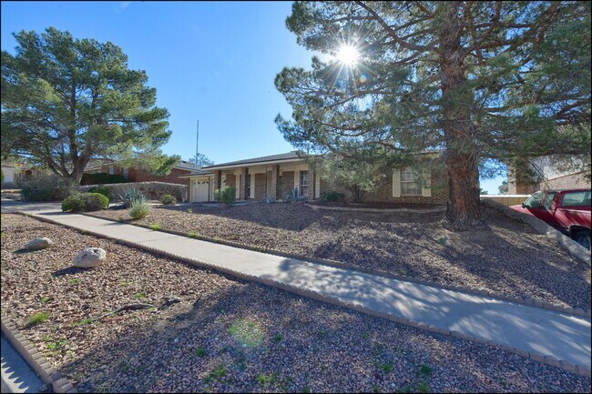 Available now! - Available now!