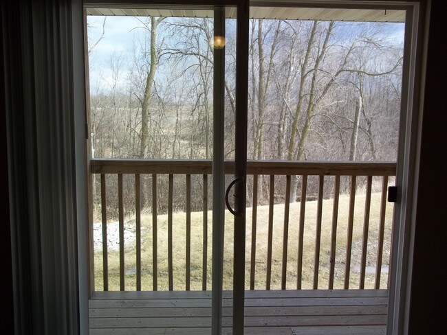 Peaceful wooded view