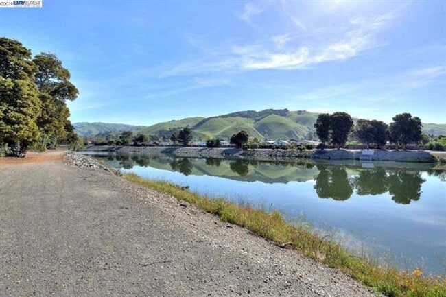 Building Photo - Little cottage nestled in a street surroun...