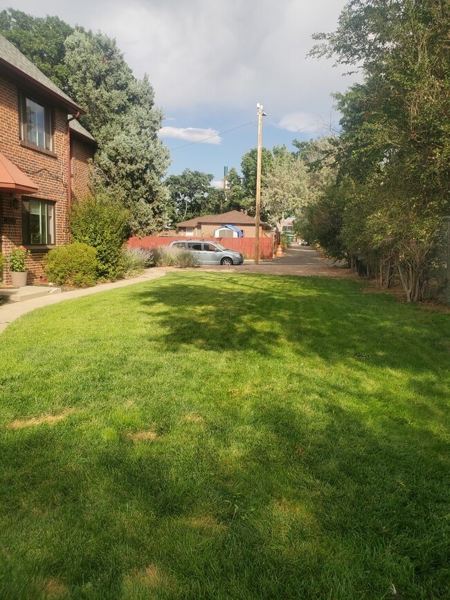 Side yard in front of apartment