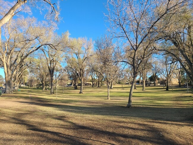 BEAUTIFUL HYDER PARK, FENCED YARDS & NO MONTHLY PET RENT! GREAT NEIGHBORHOOD FOR WALKING & BIKING. - 522 Wellesley Dr SE Unidad 4