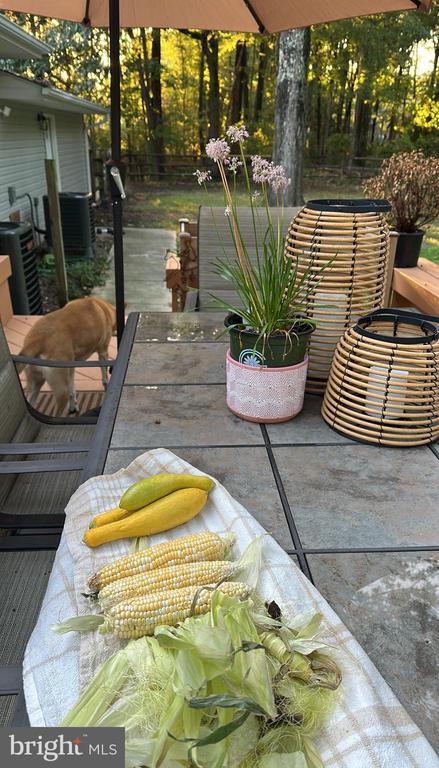 Photo - 1418 Shady Rst Rd