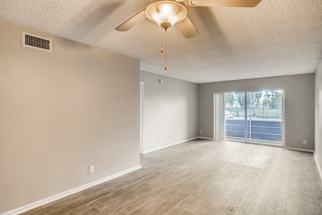 Photo - Spectra Palms