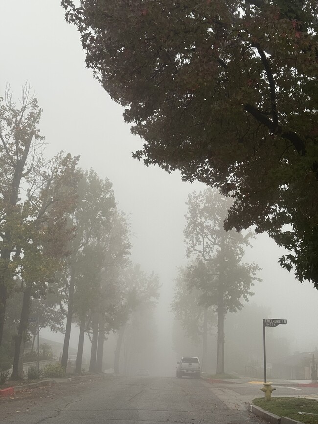 Photo - 9809 Creemore Dr Unit 9807