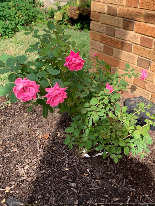 Photo - 706 E 71st Ter