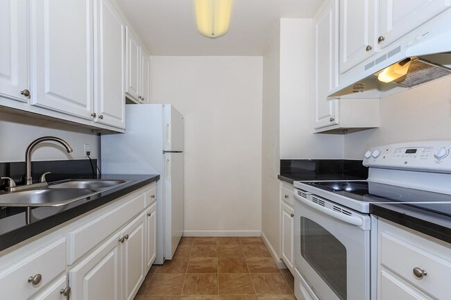 Photo - Terra at Mission Trails