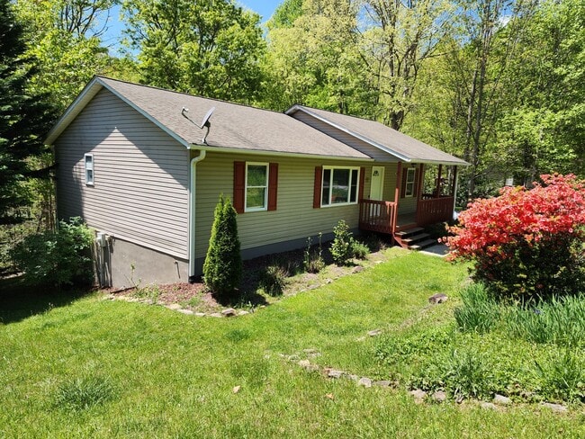 Photo - Mills River Rental!  - Bonus spaces!