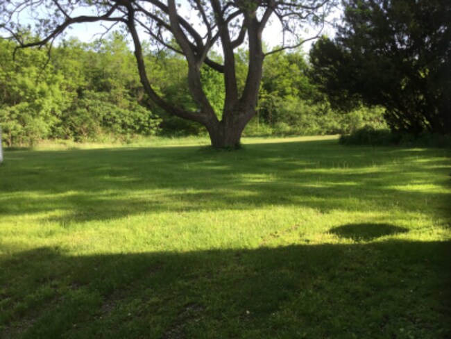 Photo - 1107 Pennsylvania Ave