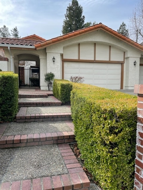 Photo - 335 Live Oak Dr