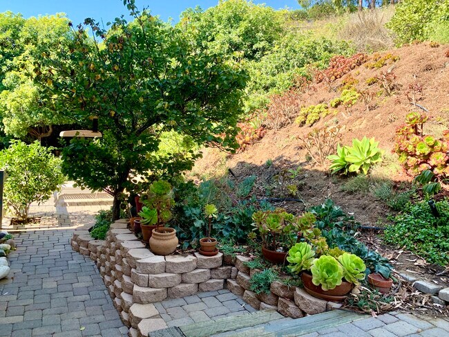 Photo - Cabana Island View Apartments