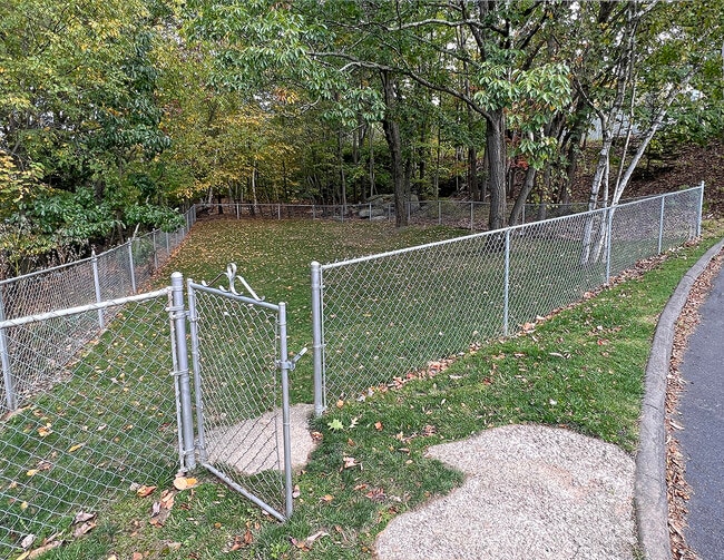 Mountain Lake Apartments