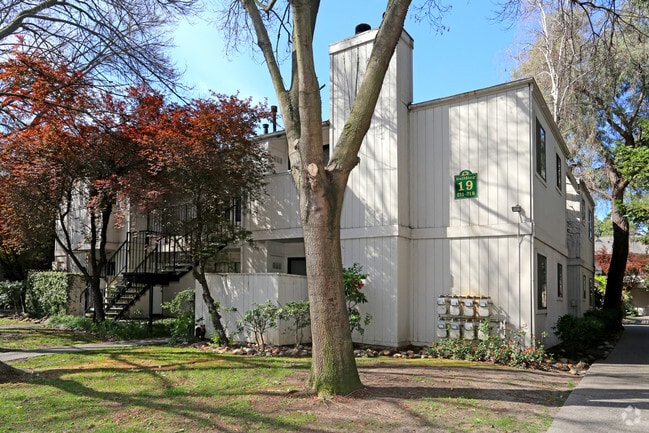 Exterior - Back