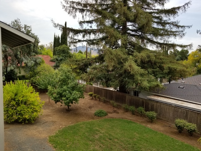 Photo - 3720 Clayton Rd Unidad 11