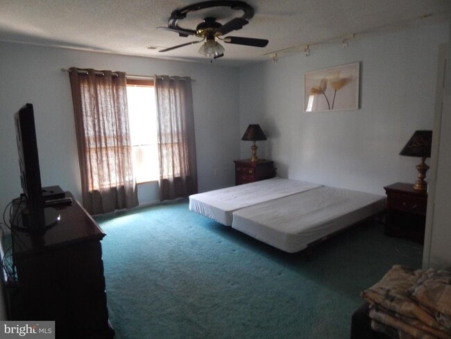 Photo - 2553 Warm Springs Rd