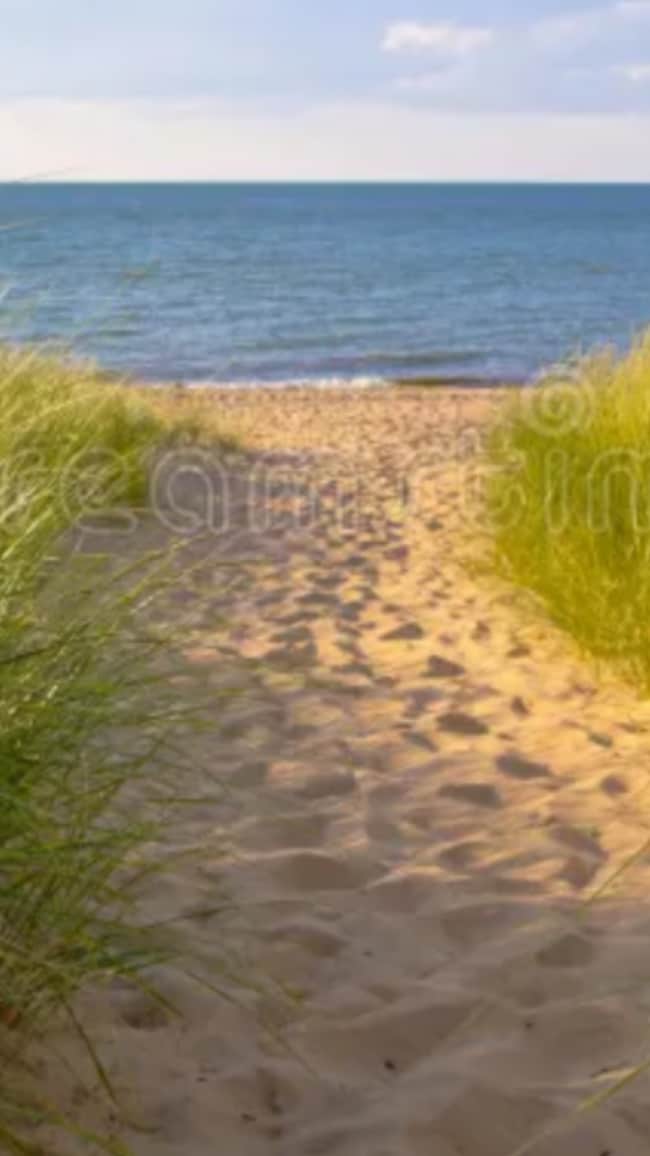 Fotografía del edificio - 1204 Hillside Ave Unidad 1