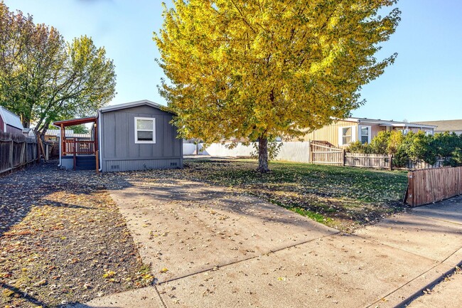 Cozy Home and Beautiful Spacious Yard - Cozy Home and Beautiful Spacious Yard