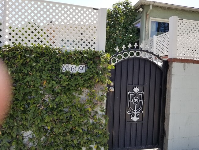 Side Gate/Entrance to Studio
