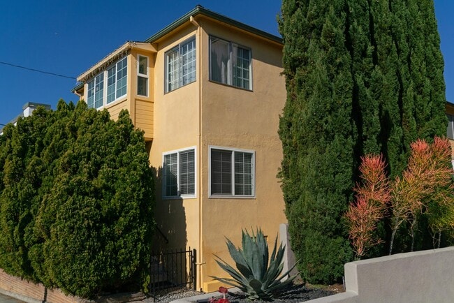 309 Hill Street - 309 Hill St