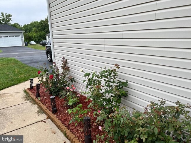 Photo - 113 Hotchkiss St