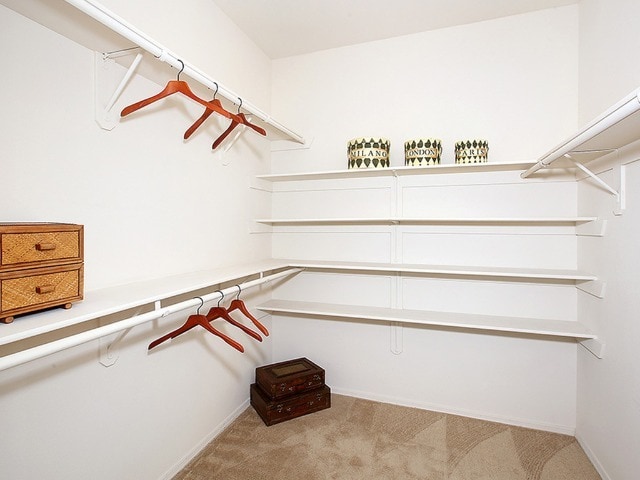 Photo - The Logan at Charleston