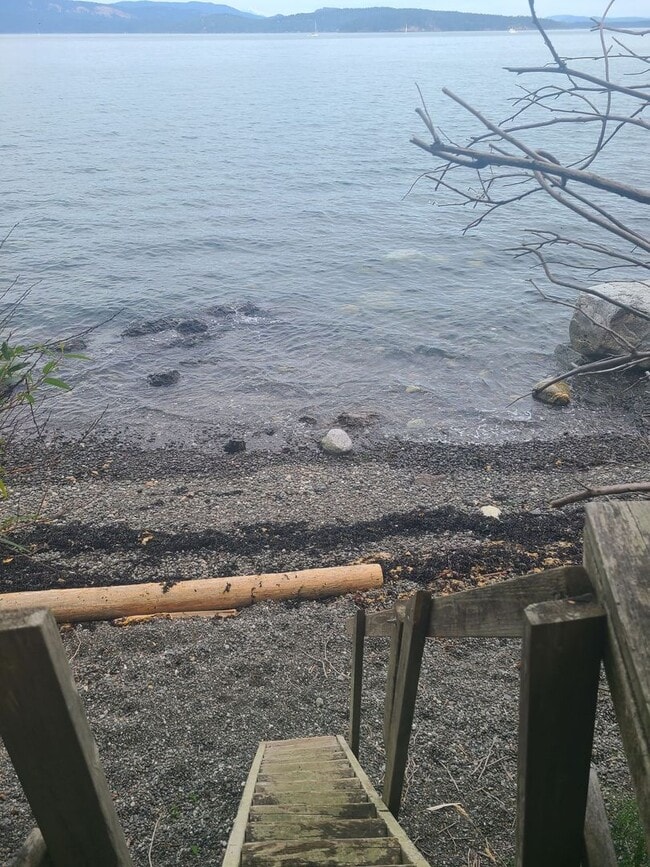 Photo - Charming Waterfront Cabin on San Juan Driv...