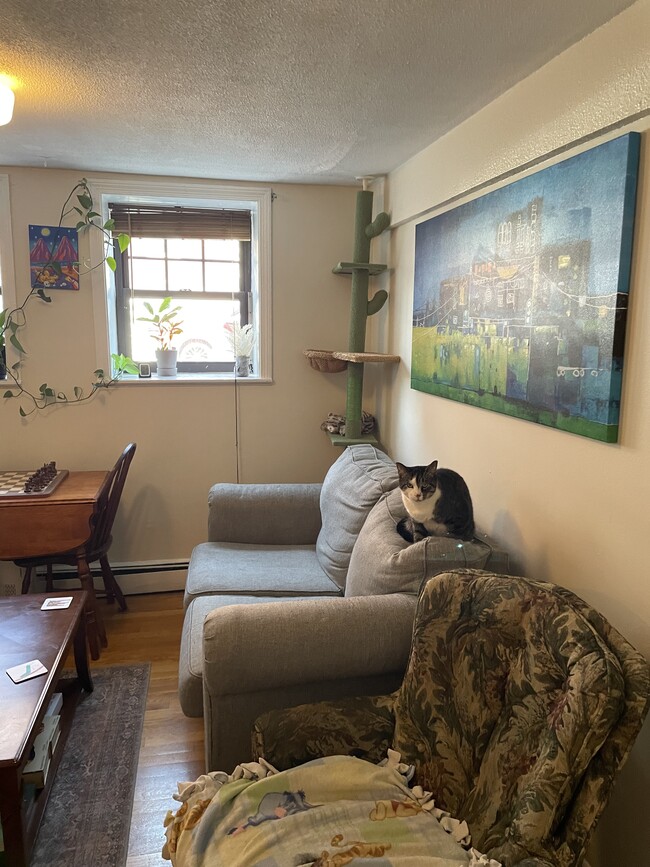 Photo - 65 Chester St Unit One bed in amazing, central location