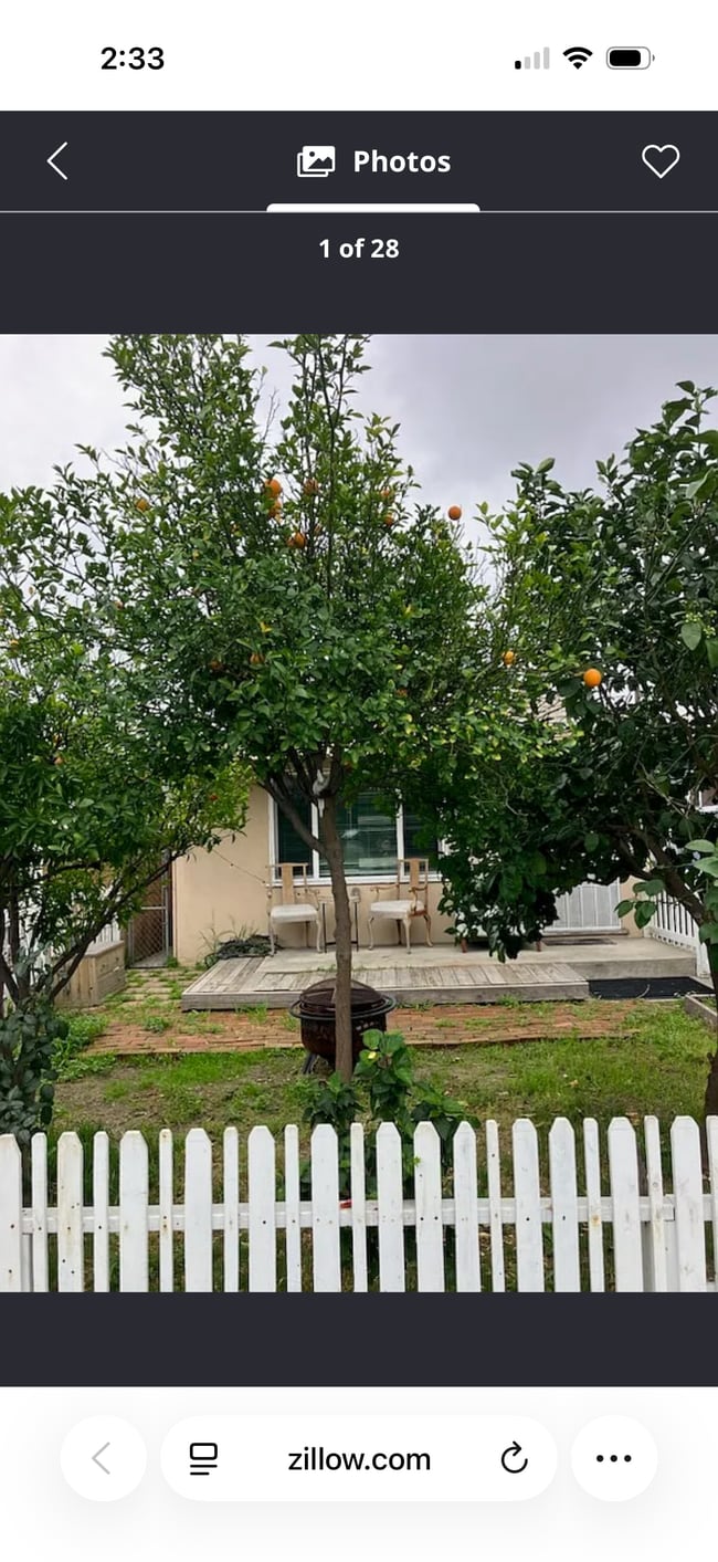 Photo - 3312 W Chandler Blvd