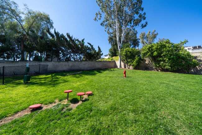 Photo - 311 Weston Cir