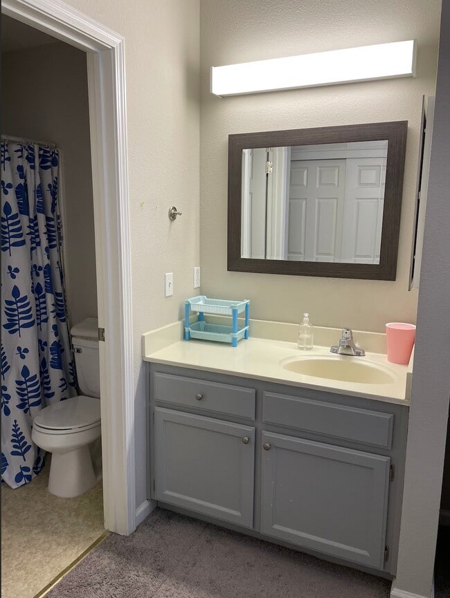 Bathroom 1 - 1143 Greene Ter Unit 1143