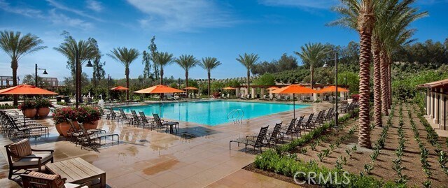 Photo - 8 Last Bloom