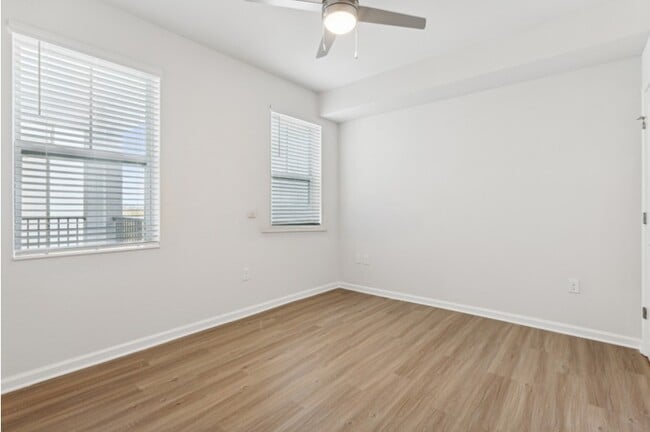 Photo - Ekos Cadenza