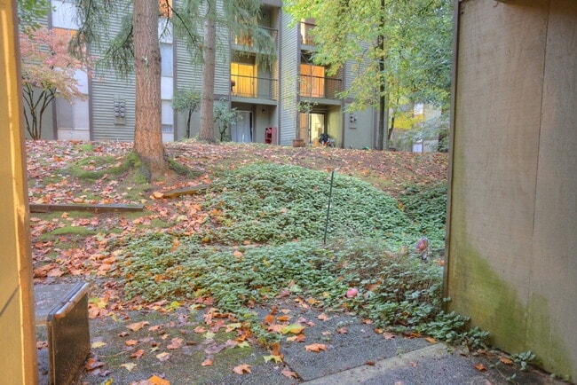 Photo - Condo for Rent in Overlake - Bellevue Area!
