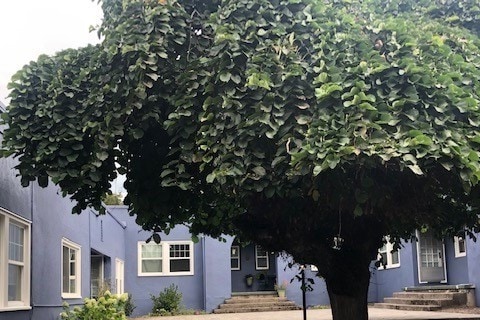 Photo - Highland Terrace Apartments