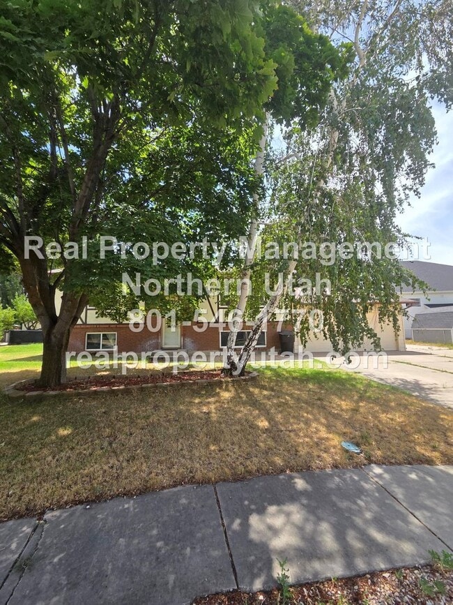 Photo - 4 Bedroom Home in Clinton Available!