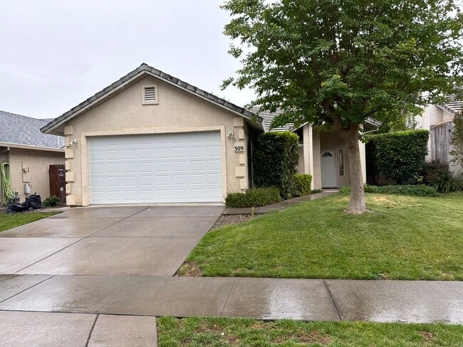 Building Photo - 309 Westin Ln