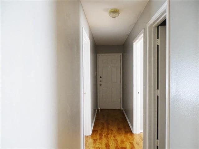 Photo - 4344 Forest Point Dr House