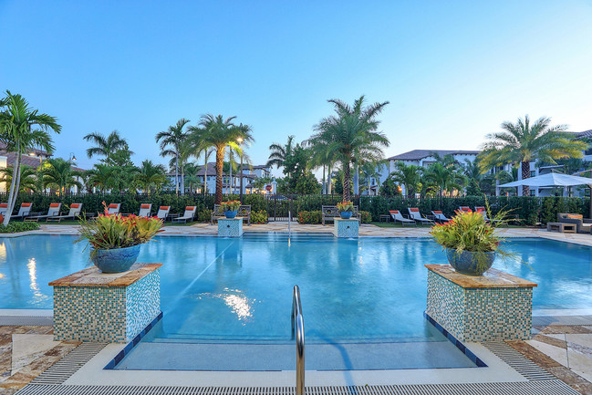 Lounge at the pool under our mature palm trees. - Windsor at Delray Beach Apartments