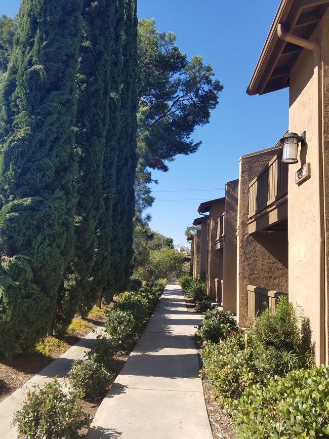 Photo - 10246 Black Mountain Rd Condo Unit 113