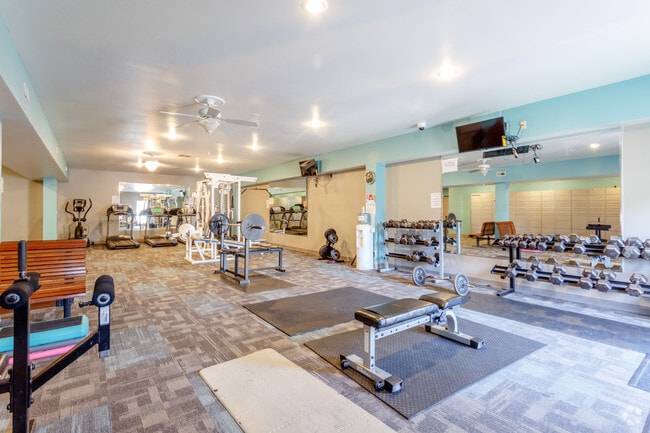 Gimnasio - Camelot Village