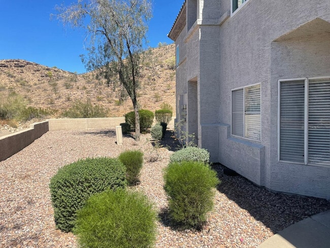 Photo - 3236 E Chandler Blvd