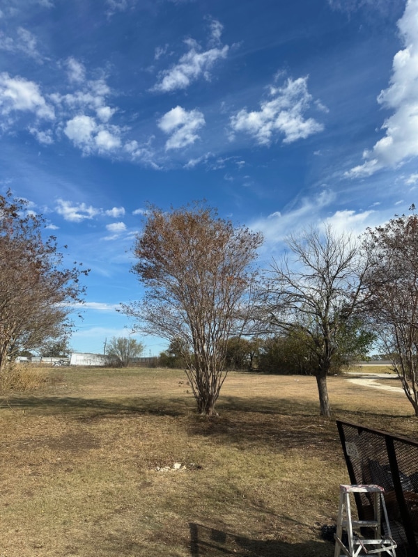 Photo - 16556 I-35