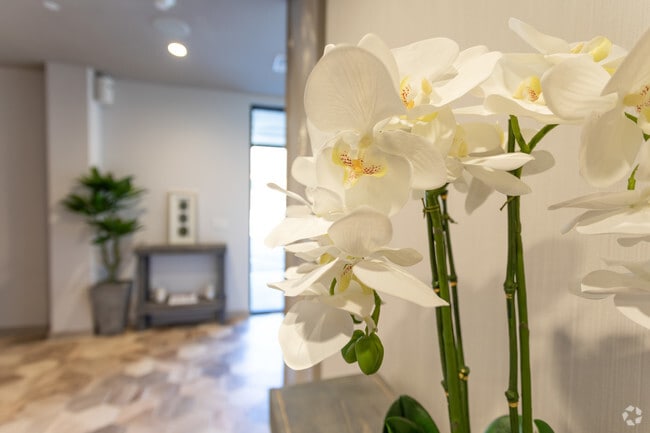 Wellness Fitness and Spa Clubhouse