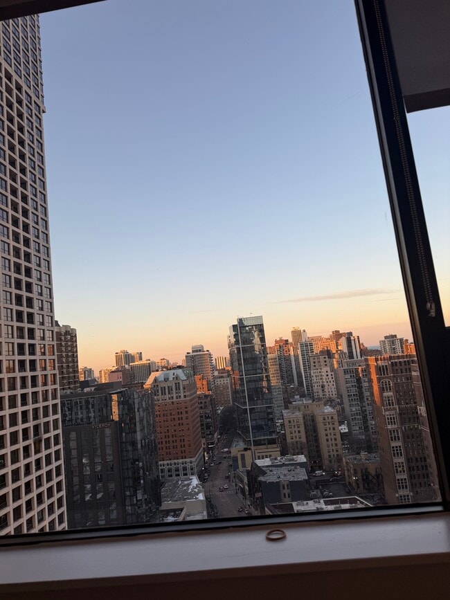 Photo - 1028 N Rush St Unidad 2602