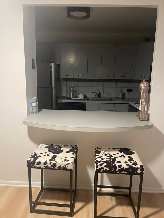 Photo - 4800 S Chicago Beach Dr Unit FURNISHED--On the Lake