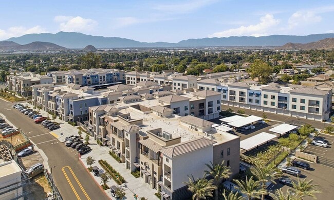 North Grove