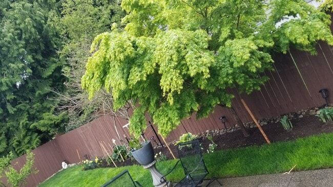 Photo - 1033 Chelan Ave NE