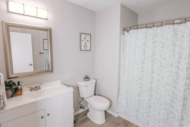 Photo - Lincoln Woods