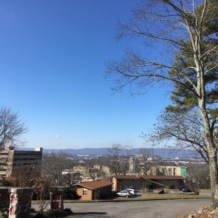 Photo - City View Apartments