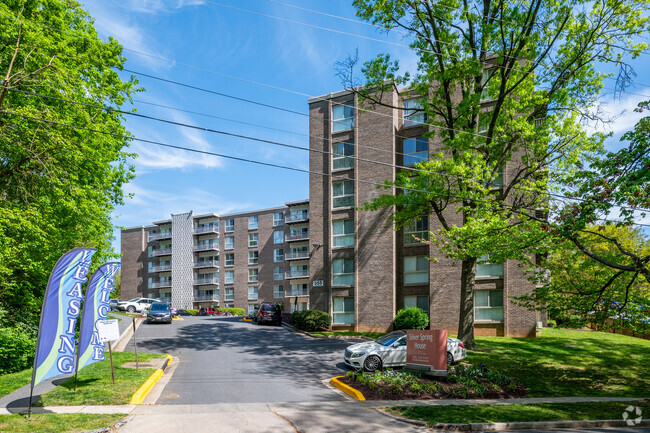 Building Photo - Silver Spring House